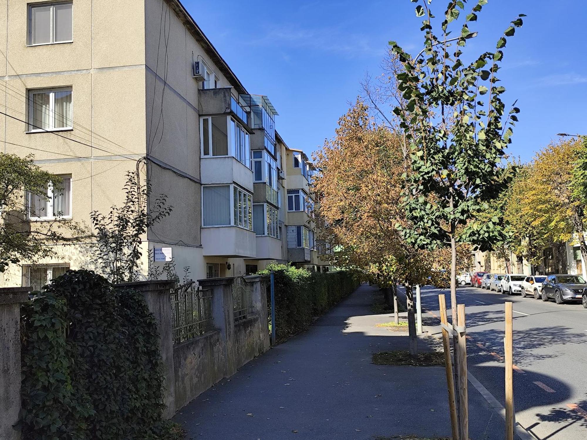 Flamingo Hermannstadt